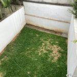 Sobrado à venda com 3 quartos, sendo 1 suíte, em Vila Lageado, São Paulo, SP