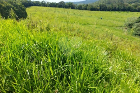 Sítio à venda com 5 quartos, sendo 1 suíte,  em Área Rural de Tapiraí, Tapiraí, SP