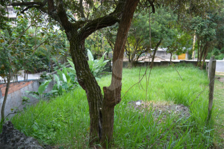 Terreno à venda em Brooklin Velho, São Paulo, SP