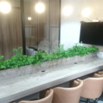 Apartamento para alugar com 1 suíte em Pinheiros, São Paulo, SP