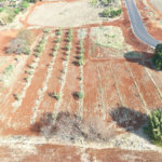 Terreno à venda em Vila do Golf, Ribeirão Preto, SP