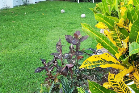 Sítio à venda com 3 suítes em Parque Santa Eugênia, Guapimirim, RJ