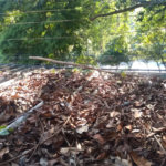 Sobrado à venda com 6 quartos em Jardim Imperial, São Paulo, SP