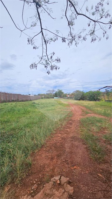 Terreno para alugar em Vila Áurea, Ponta Porã, MS