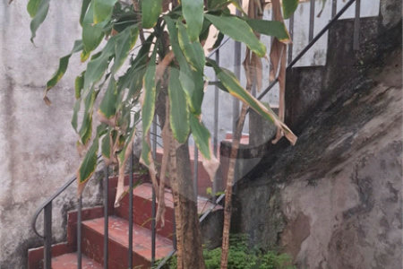 Casa Térrea à venda com 3 quartos em Vila Pompéia, São Paulo, SP