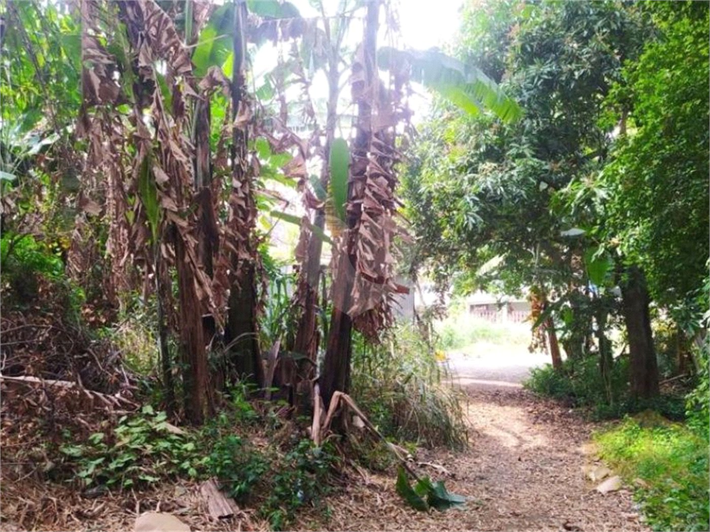 Terreno à venda com 5 quartos em Vila Medeiros, São Paulo, SP