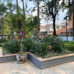 Apartamento para alugar com 3 quartos, sendo 1 suíte, em Jardim Bonfiglioli, São Paulo, SP