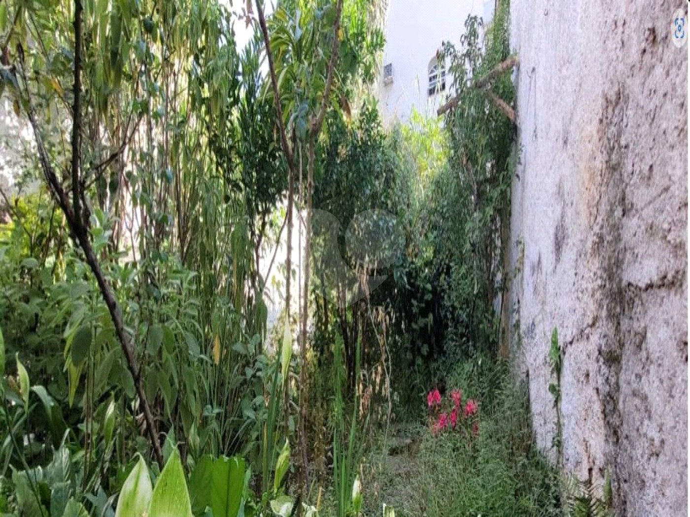 Casa à venda com 3 quartos, sendo 1 suíte, em Jardim Brasil (zona Sul), São Paulo, SP