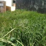 Terreno à venda em Tremembé, São Paulo, SP