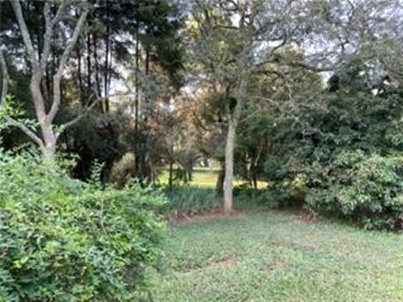 Sítio à venda com 2 quartos em Vila Brasileira, Itatiba, SP