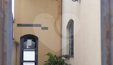 Apartamento à venda com 3 quartos em Vila Joaquim Inácio, Campinas, SP