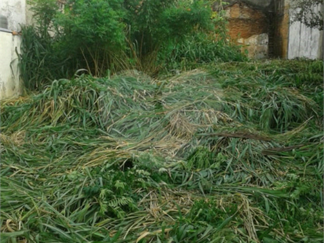 Terreno à venda em Imirim, São Paulo, SP