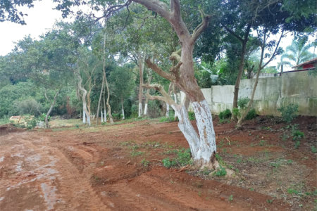 Terreno à venda em Vila Sol Nascente, Suzano, SP