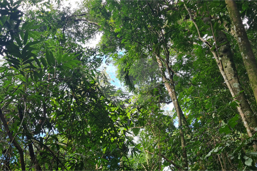 Terreno à venda em Caraguatá, Mairiporã, SP