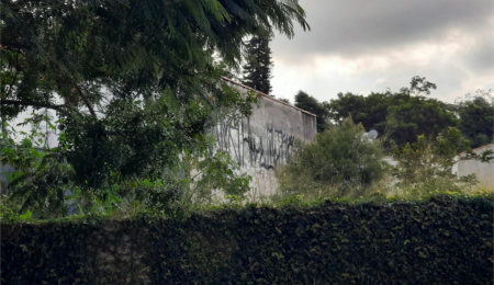 Terreno à venda em Chácara Monte Alegre, São Paulo, SP