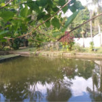 Sítio à venda com 5 quartos, sendo 2 suítes,  em Parque Recreio Dom Pedro Ii (guia de Pacobaíba), Magé, RJ