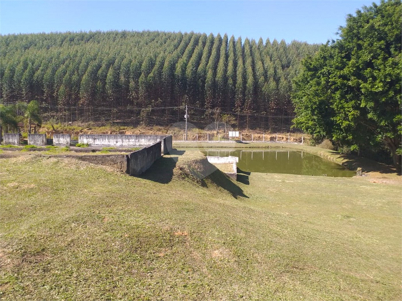 Sítio à venda com 4 quartos, sendo 1 suíte,  em Cruz das Almas, Biritiba-mirim, SP