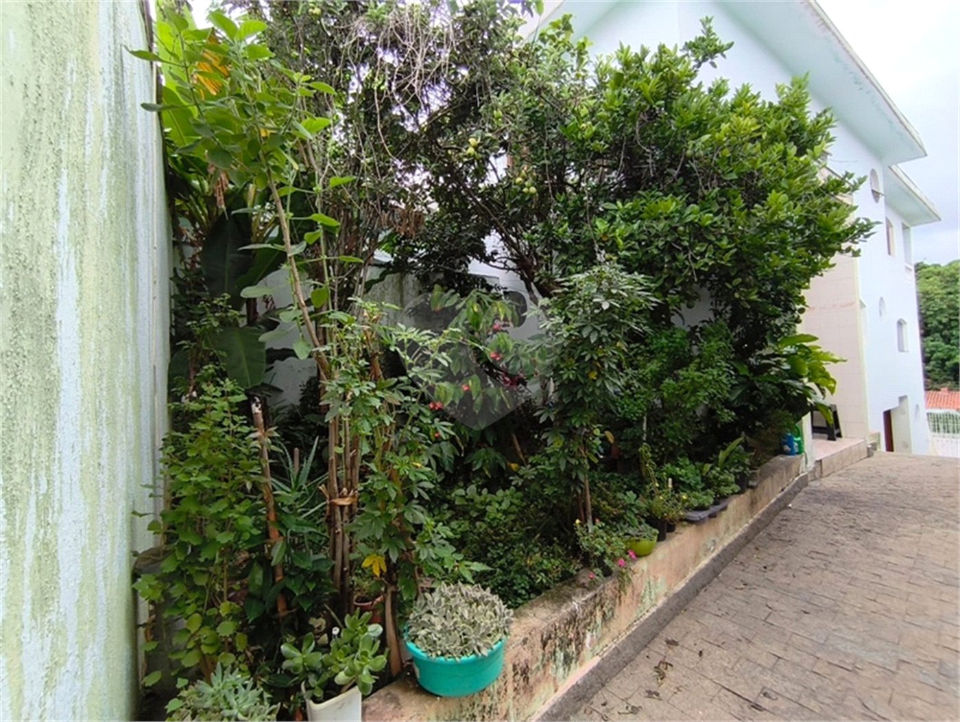 Sobrado à venda com 4 suítes em Santana, São Paulo, SP