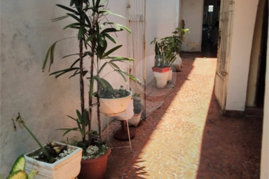 Casa Térrea à venda com 2 quartos em Vila Paulicéia, São Paulo, SP