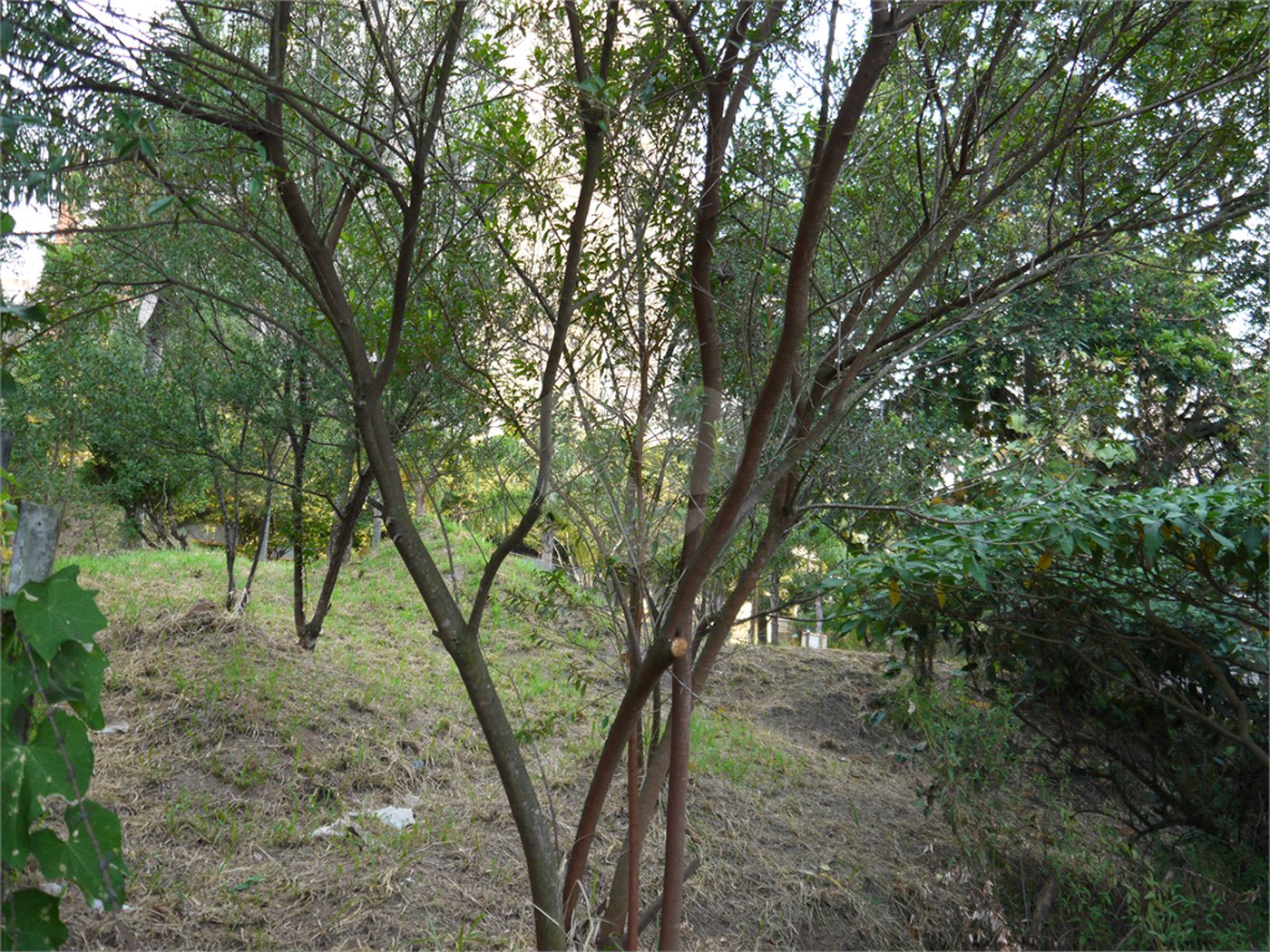 Terreno à venda em Brooklin Velho, São Paulo, SP