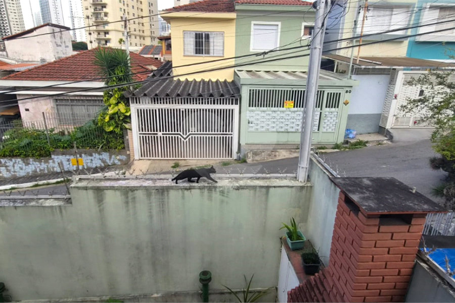 Sobrado à venda com 3 quartos, sendo 1 suíte, em Santana, São Paulo, SP