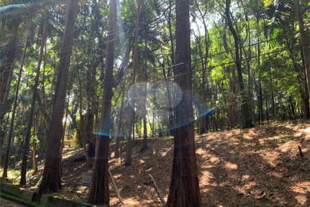 Terreno à venda no condomínio Chácara Flora, São Paulo - SP