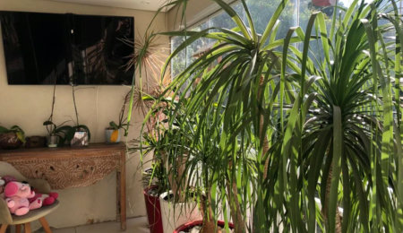 Apartamento à venda com 3 suítes em Lar São Paulo, São Paulo, SP