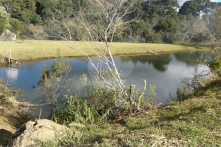 Chácara à venda com 8 quartos, sendo 3 suítes, no Centro, Toledo, MG