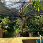 Casa à venda com 4 quartos, sendo 2 suítes, em Vila Aparecida, Itapetininga, SP