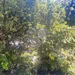 Apartamento à venda com 4 quartos, sendo 2 suítes, em Flamengo, Rio de Janeiro, RJ