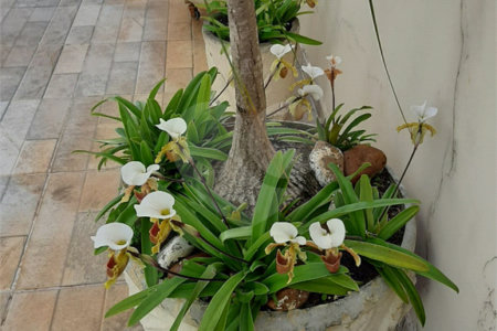 Sobrado à venda com 4 quartos, sendo 3 suítes, em Jardim São Bento, São Paulo, SP