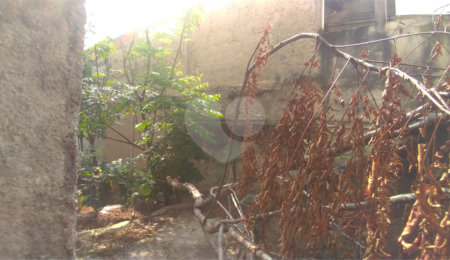 Terreno à venda em Casa Verde, São Paulo, SP