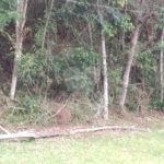 Terreno à venda em Serra da Cantareira, Mairiporã, SP