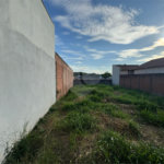 LOTE NO EMBARE
