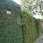 Sobrado à venda com 4 quartos, sendo 1 suíte, em Mandaqui, São Paulo, SP
