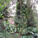 Sobrado à venda com 3 quartos em Tremembé, São Paulo, SP