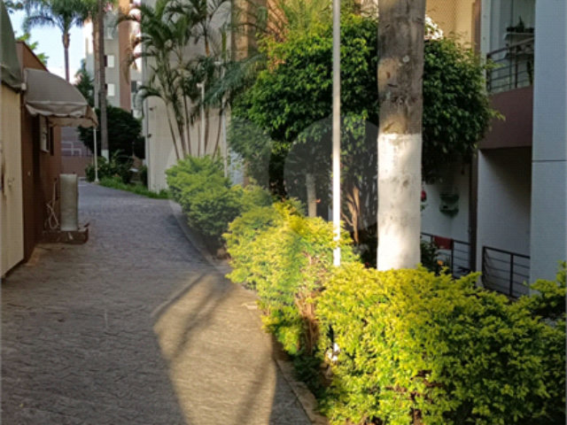 Apartamento à venda com 2 quartos em Vila Nova Cachoeirinha, São Paulo, SP