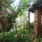 Casa à venda com 3 quartos, sendo 1 suíte, em Vila Cruzeiro, São Paulo, SP