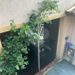 Casa Térrea à venda com 3 quartos, sendo 1 suíte, em Tucuruvi, São Paulo, SP