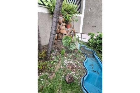 Casa à venda com 4 quartos, sendo 3 suítes, em Vila Aurora (zona Norte), São Paulo, SP
