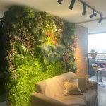 Apartamento à venda com 3 quartos, sendo 1 suíte, em Tucuruvi, São Paulo, SP