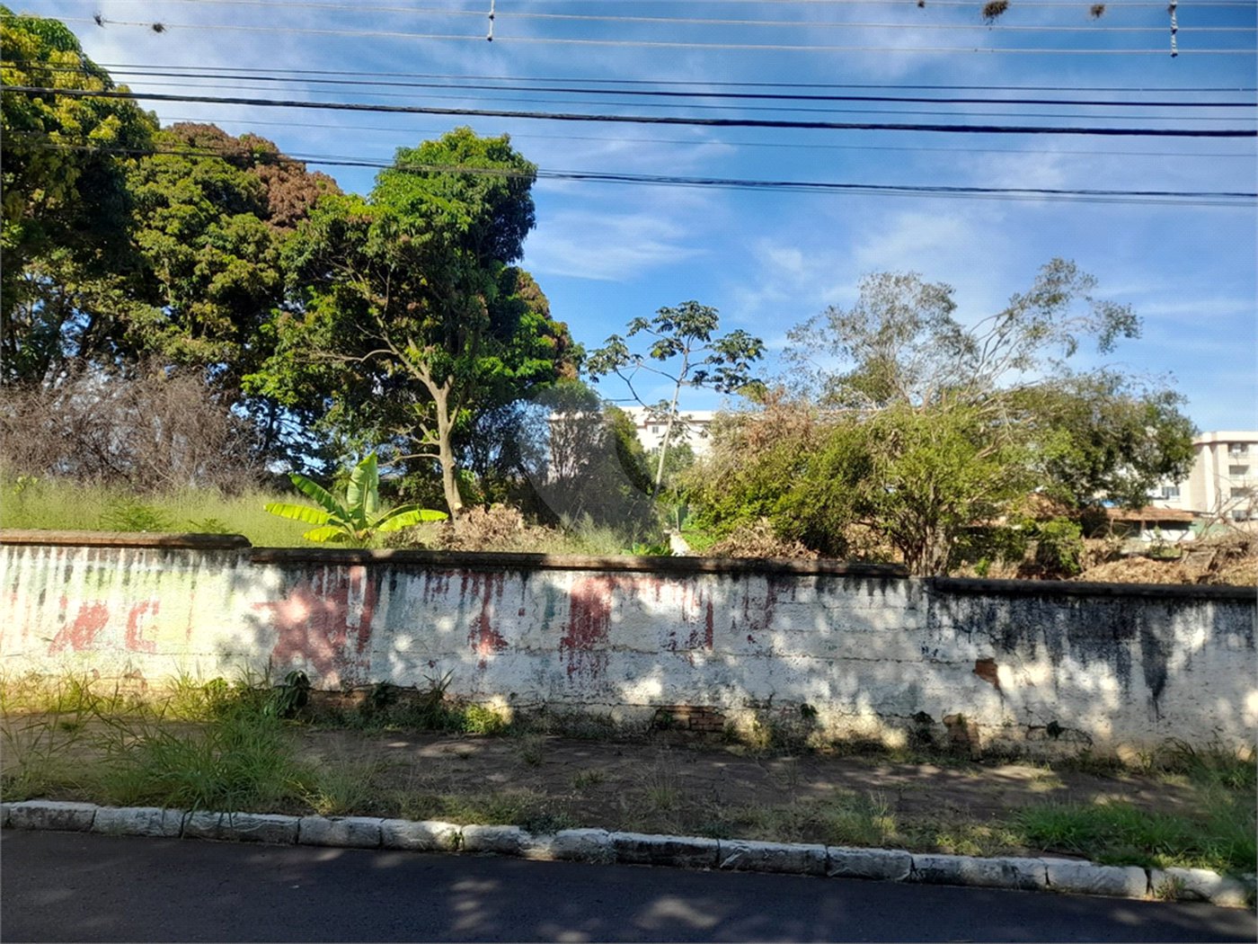 Terreno Comercial à Venda na Av. Teixeira de Barros – Rua Larga