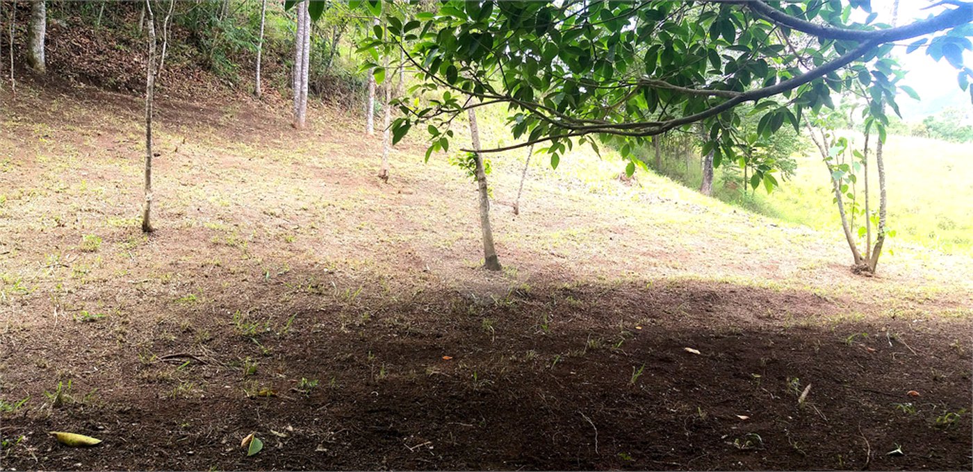 Sítio à venda no Centro, Monte Sião, MG