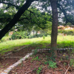 Terreno à venda em Tremembé, São Paulo, SP