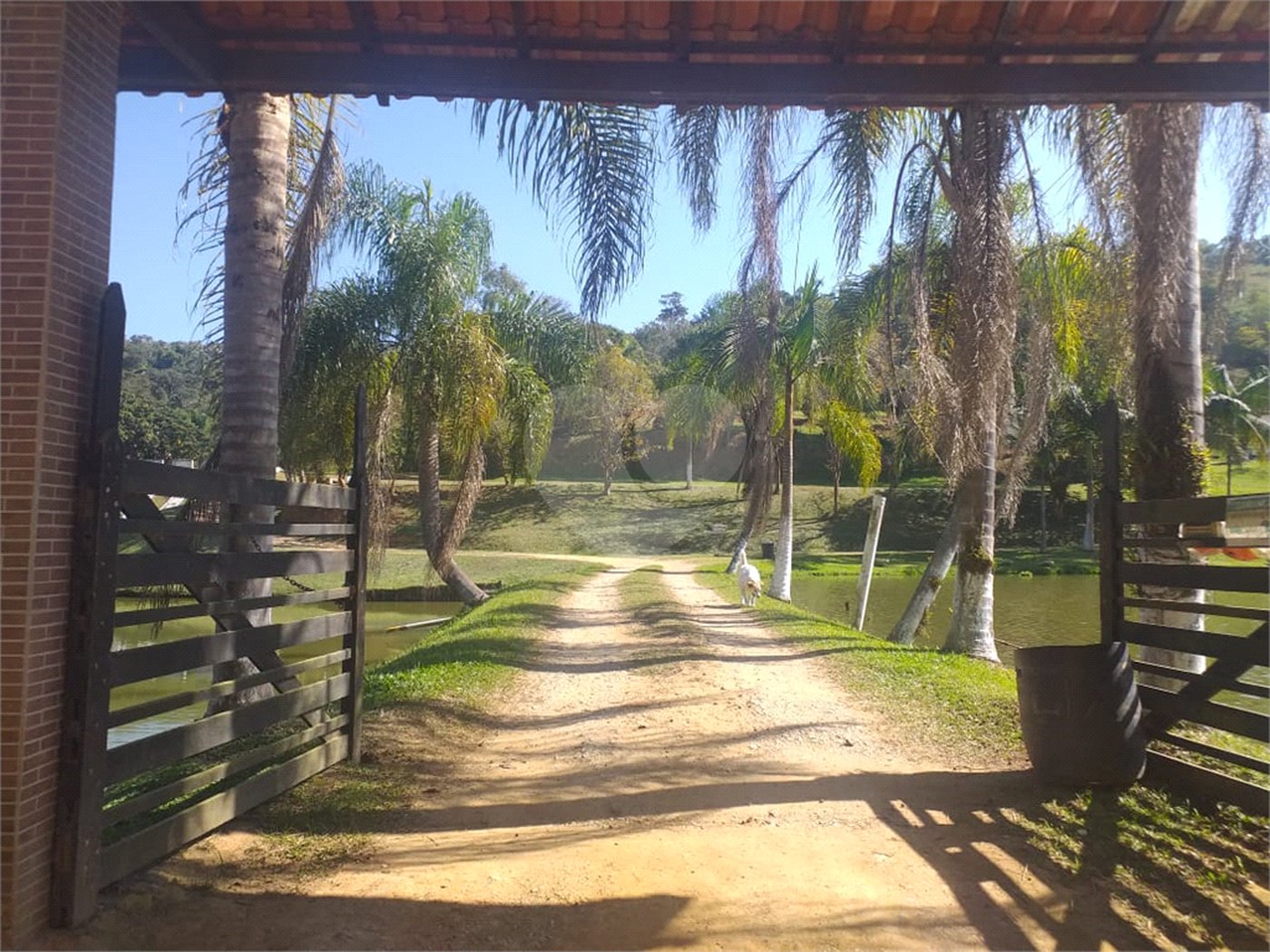 Sítio à venda com 4 quartos, sendo 1 suíte,  em Cruz das Almas, Biritiba-mirim, SP