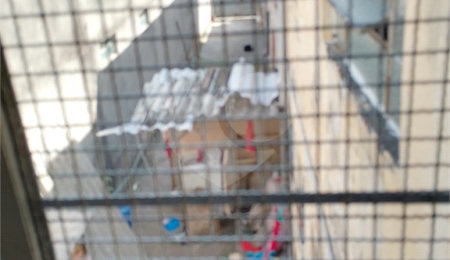 Sobrado à venda com 2 quartos em Vila Maria, São Paulo, SP