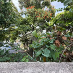 Sobrado à venda com 3 quartos, sendo 1 suíte, em Tucuruvi, São Paulo, SP