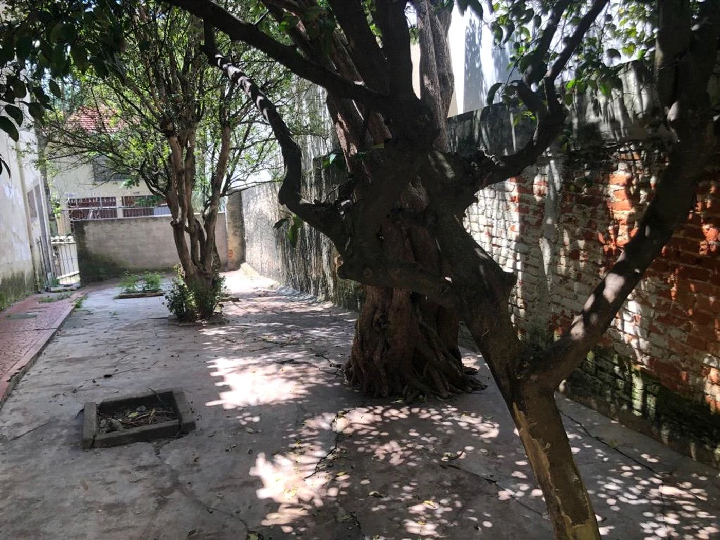 Casa à venda com 4 quartos, sendo 1 suíte, em Jardim Colombo, São Paulo, SP