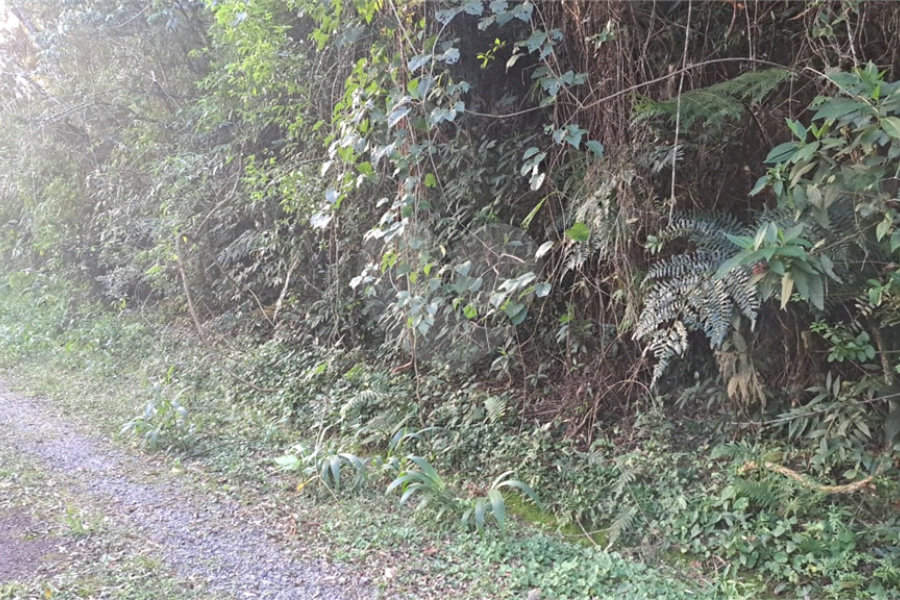 Terreno à venda no condomínio Associação Reserva das Hortênsias, Mairiporã - SP