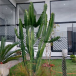 Casa à venda ou para alugar com 4 quartos, sendo 3 suítes, no condomínio Figueira Garden, Atibaia - SP